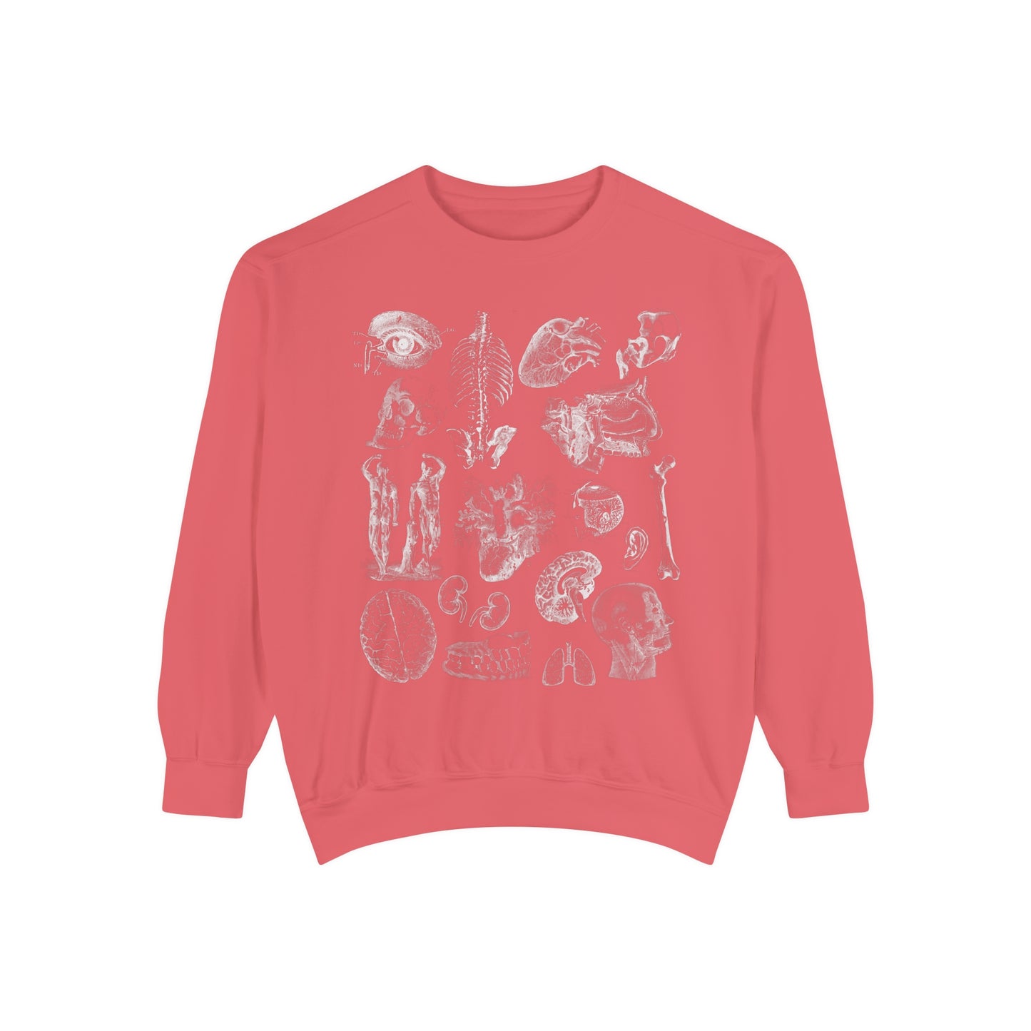 Vintage Anatomy Sketch Comfort Colors Premium Sweatshirt