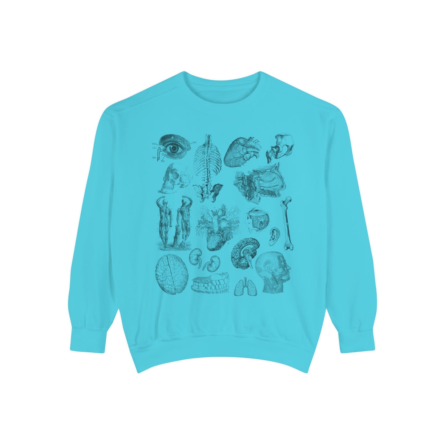 Vintage Anatomy Sketch Comfort Colors Premium Sweatshirt