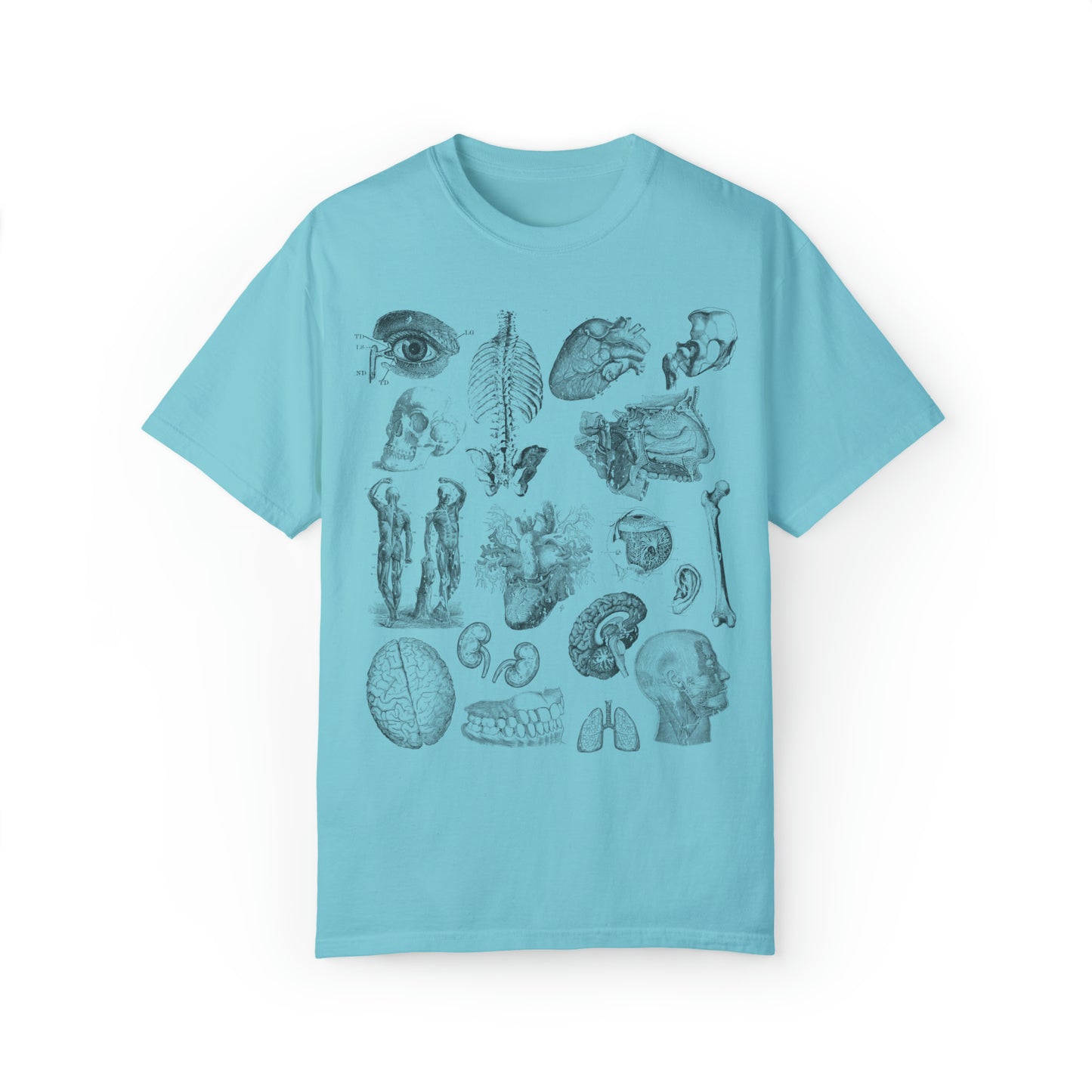 Anatomy Sketch Graphic T-shirt In Lagoon Blue