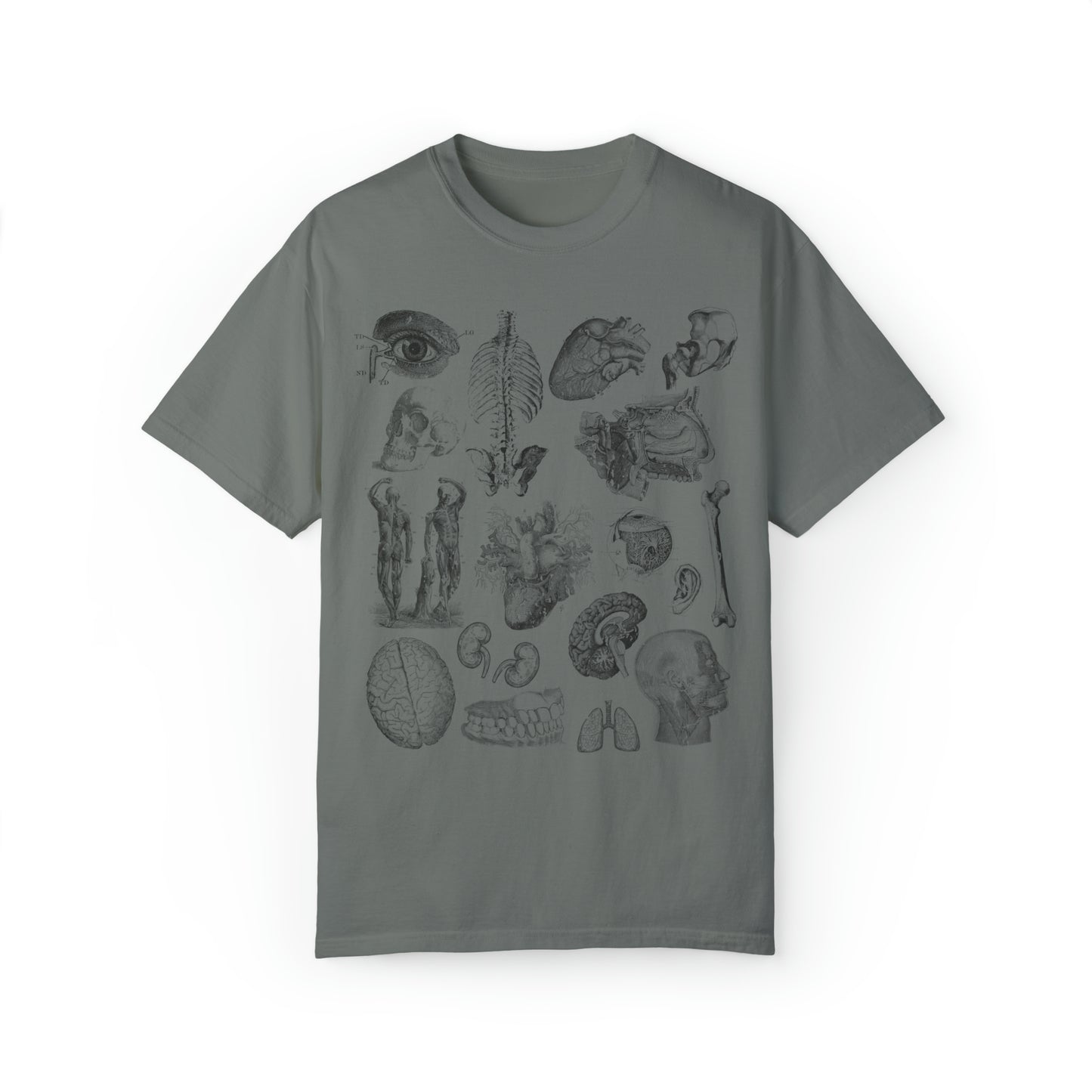 Anatomy Sketch Graphic T-shirt In Pepper