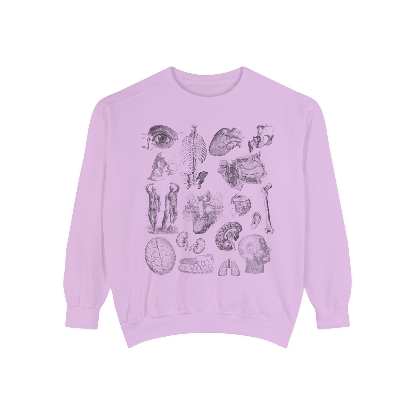 Vintage Anatomy Sketch Comfort Colors Premium Sweatshirt