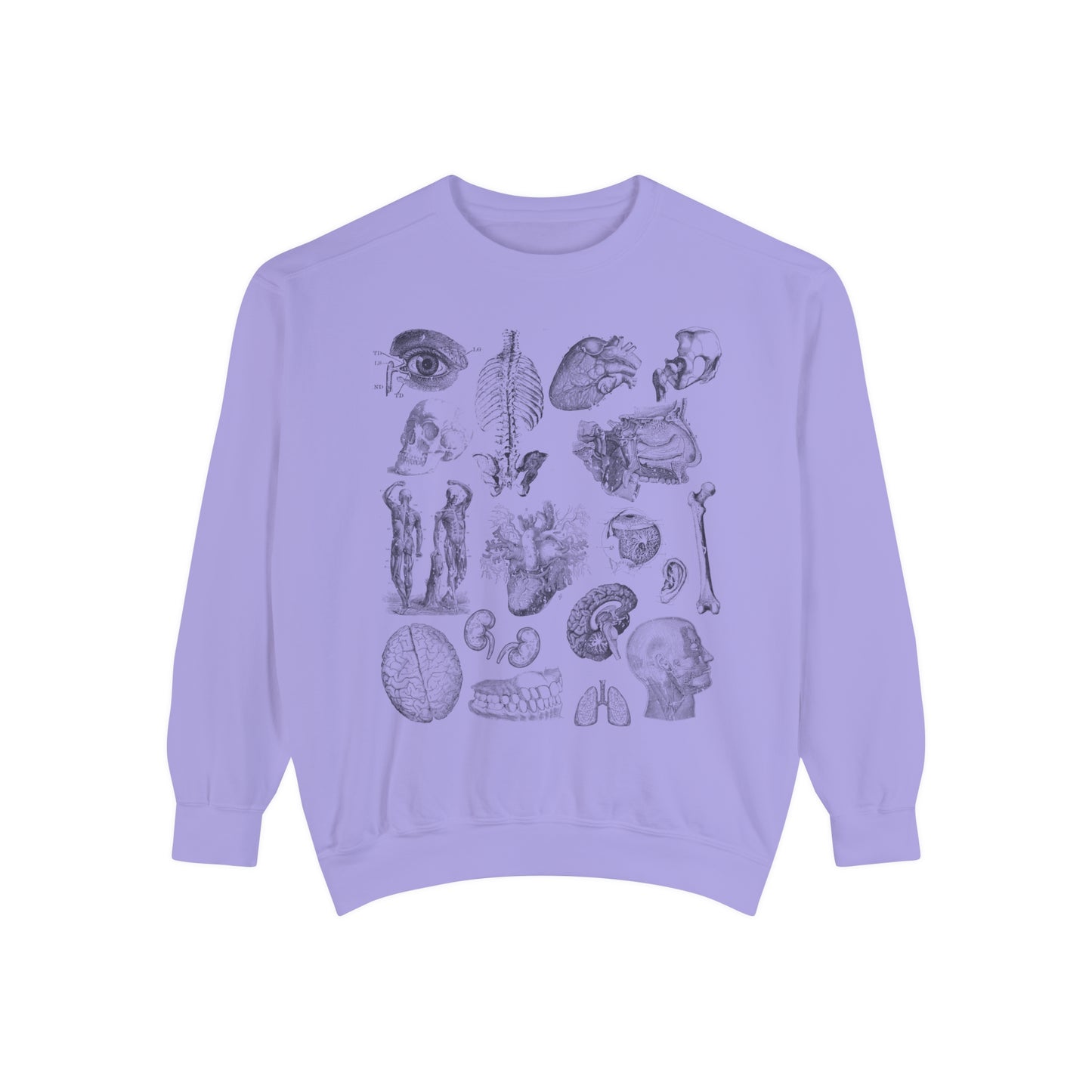 Vintage Anatomy Sketch Comfort Colors Premium Sweatshirt