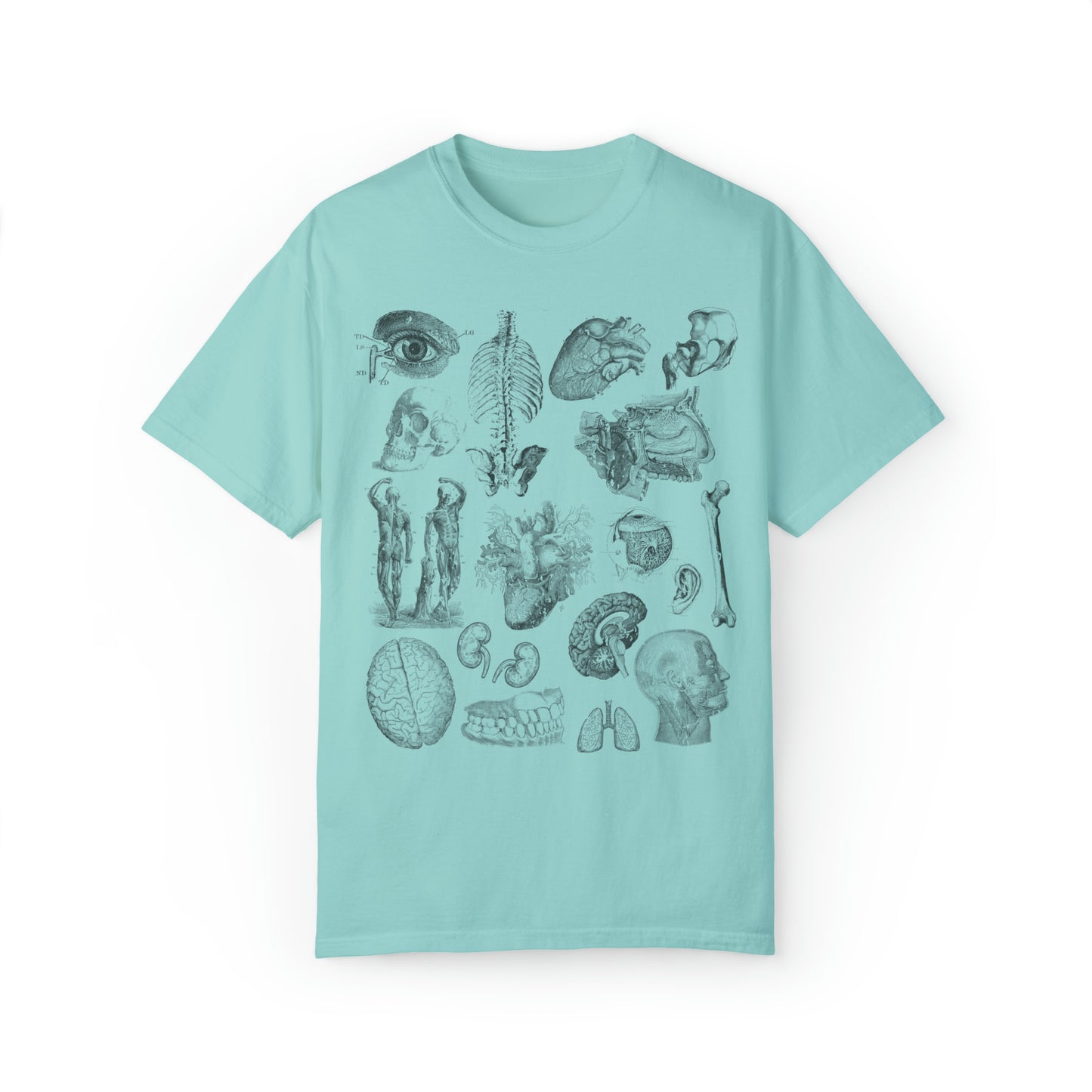 Anatomy Sketch Graphic T-shirt In Chalky Mint