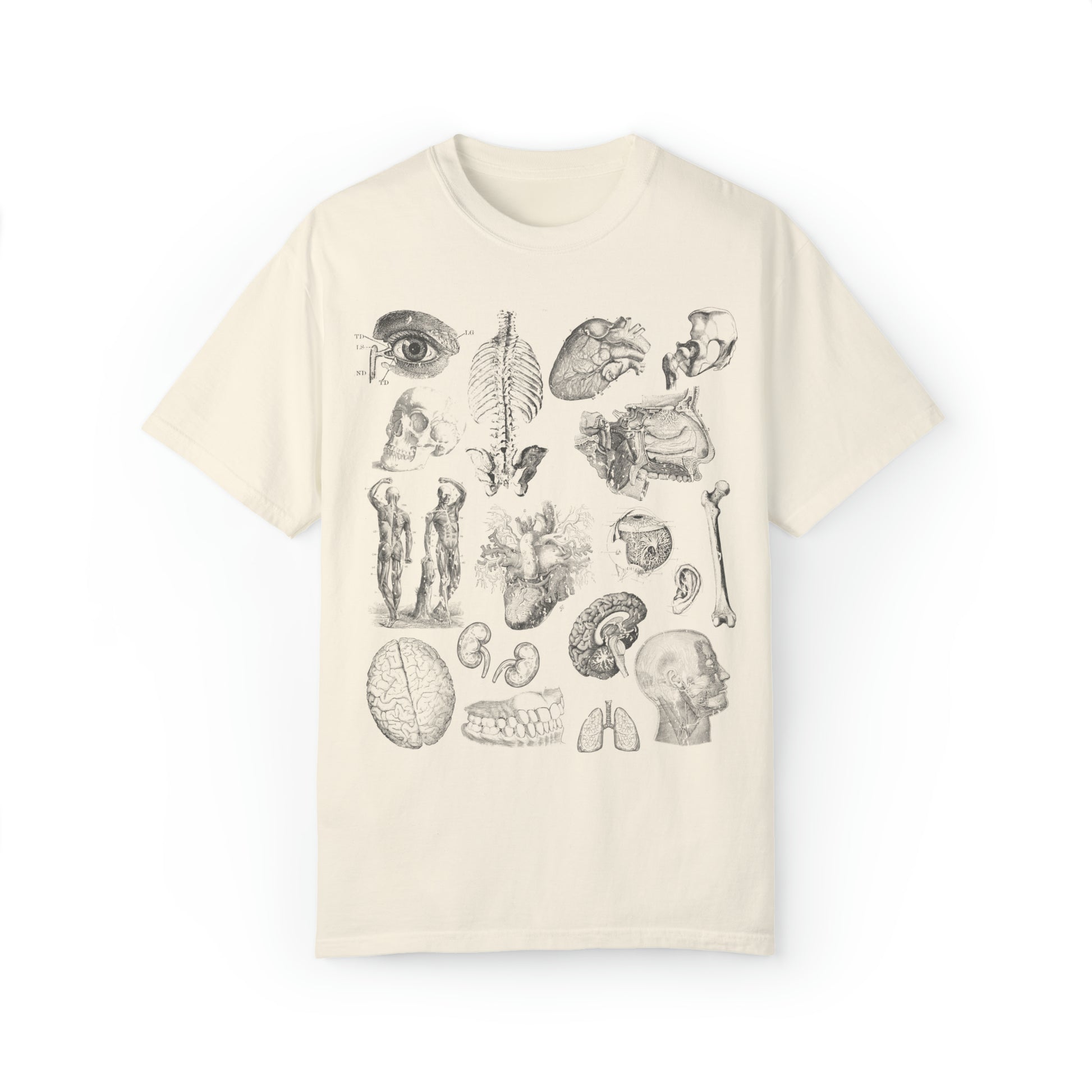 Anatomy Sketch Graphic T-shirt In Ivory