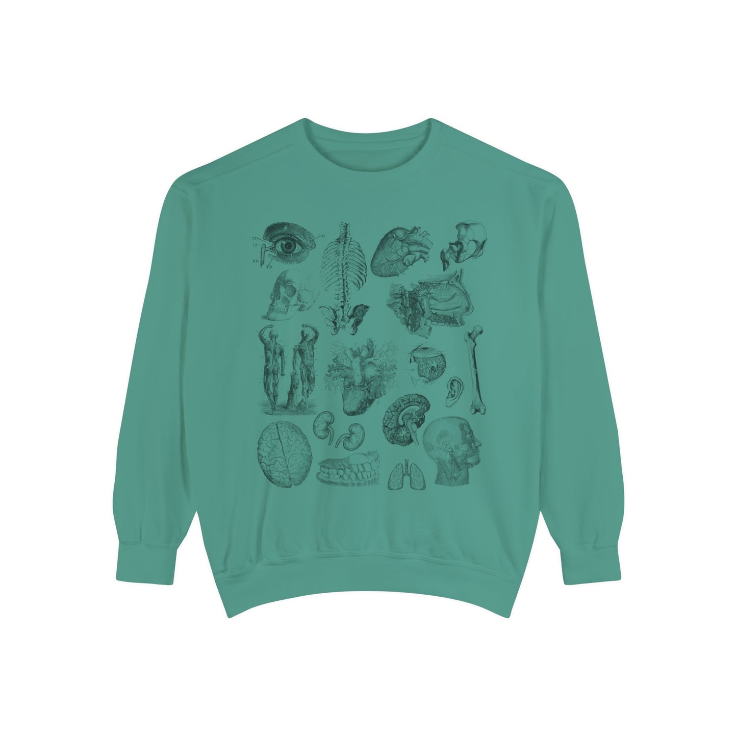 Vintage Anatomy Sketch Comfort Colors Premium Sweatshirt