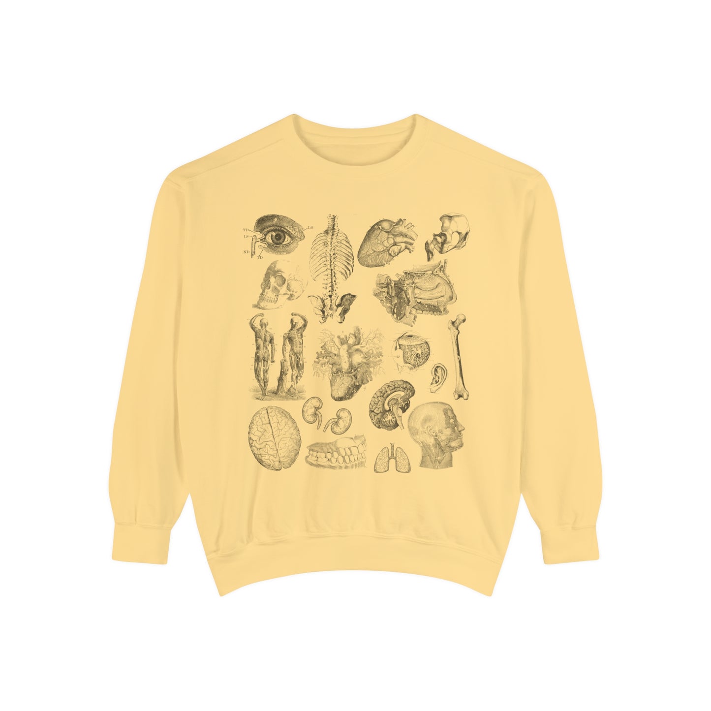 Vintage Anatomy Sketch Comfort Colors Premium Sweatshirt