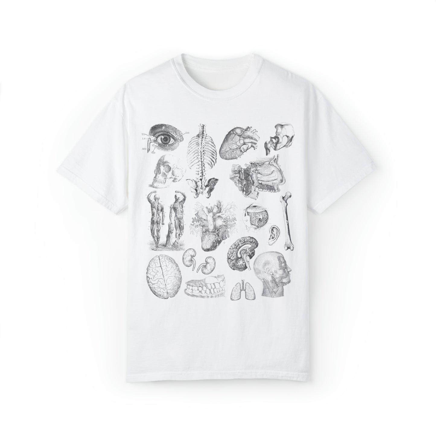 Anatomy Sketch Graphic T-shirt In White