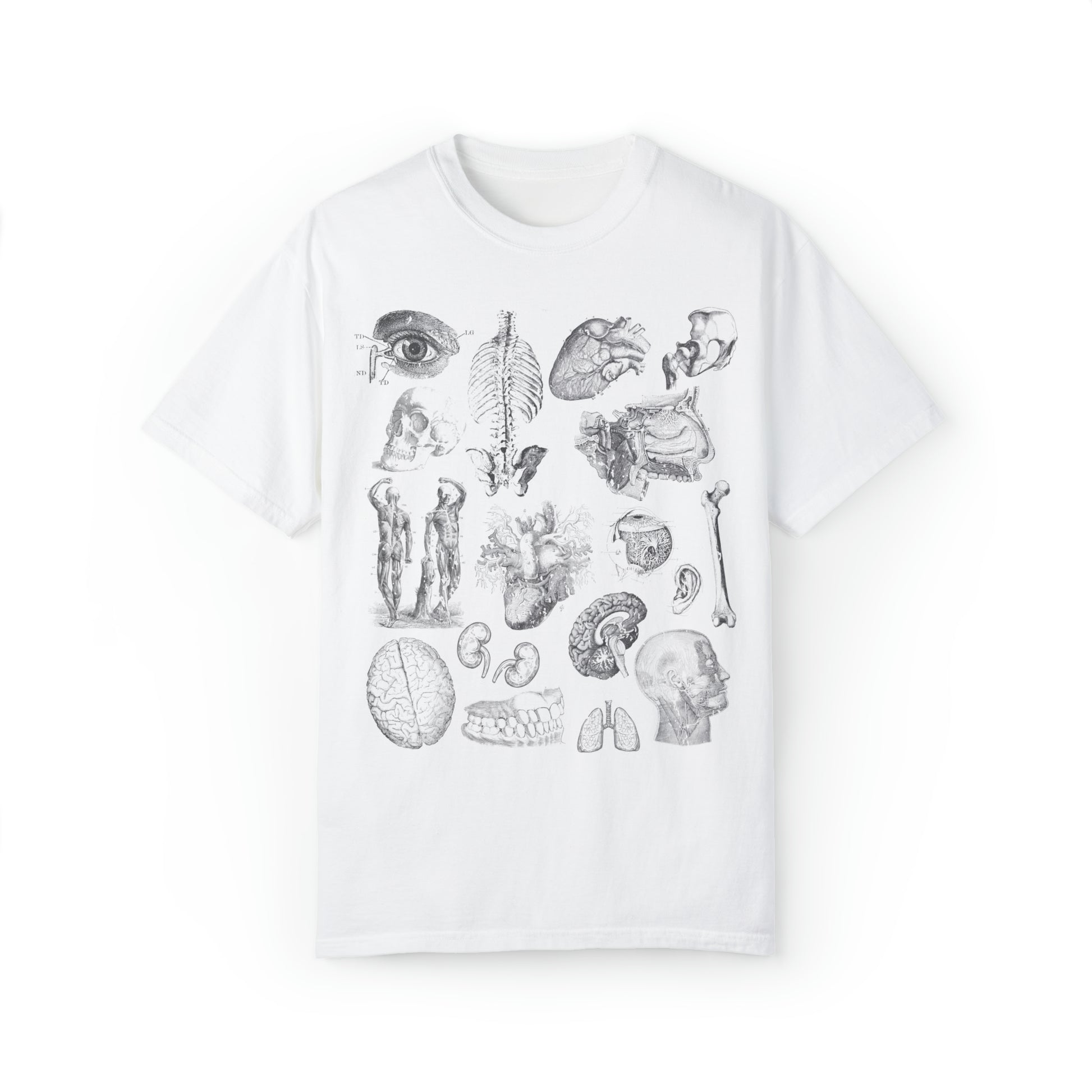 Anatomy Sketch Graphic T-shirt In White