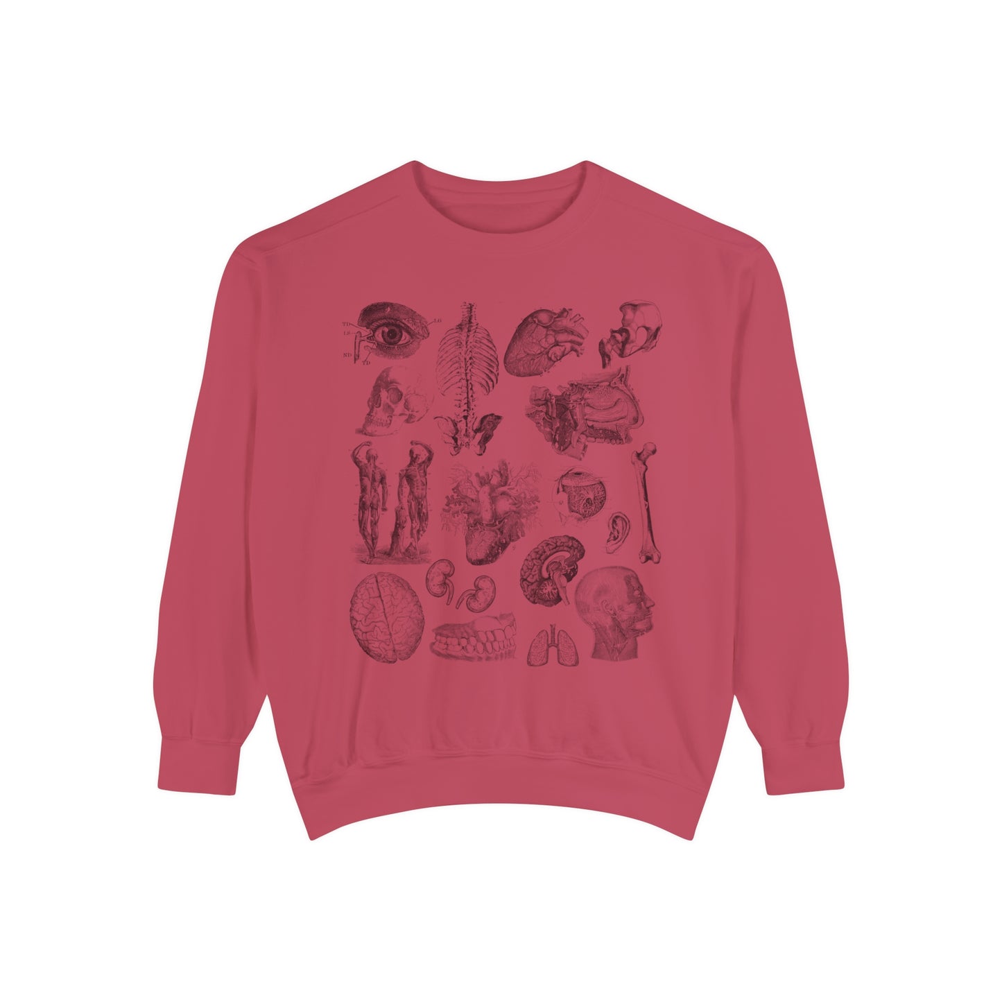 Vintage Anatomy Sketch Comfort Colors Premium Sweatshirt