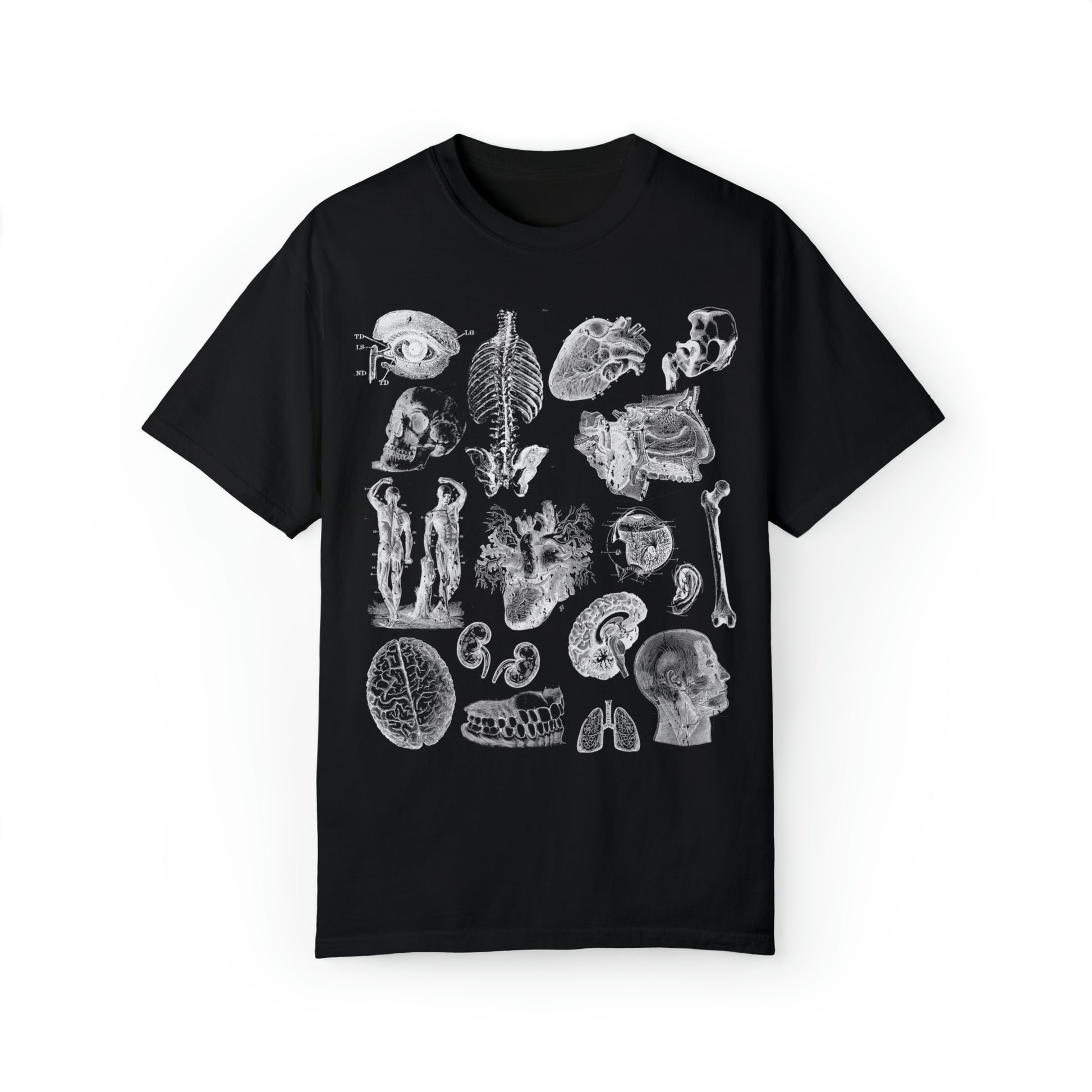 Anatomy Sketch Graphic T-shirt In Black