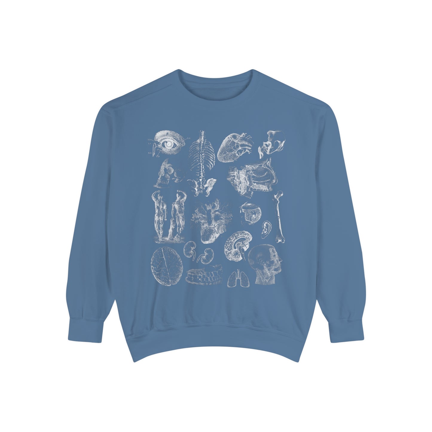 Vintage Anatomy Sketch Comfort Colors Premium Sweatshirt
