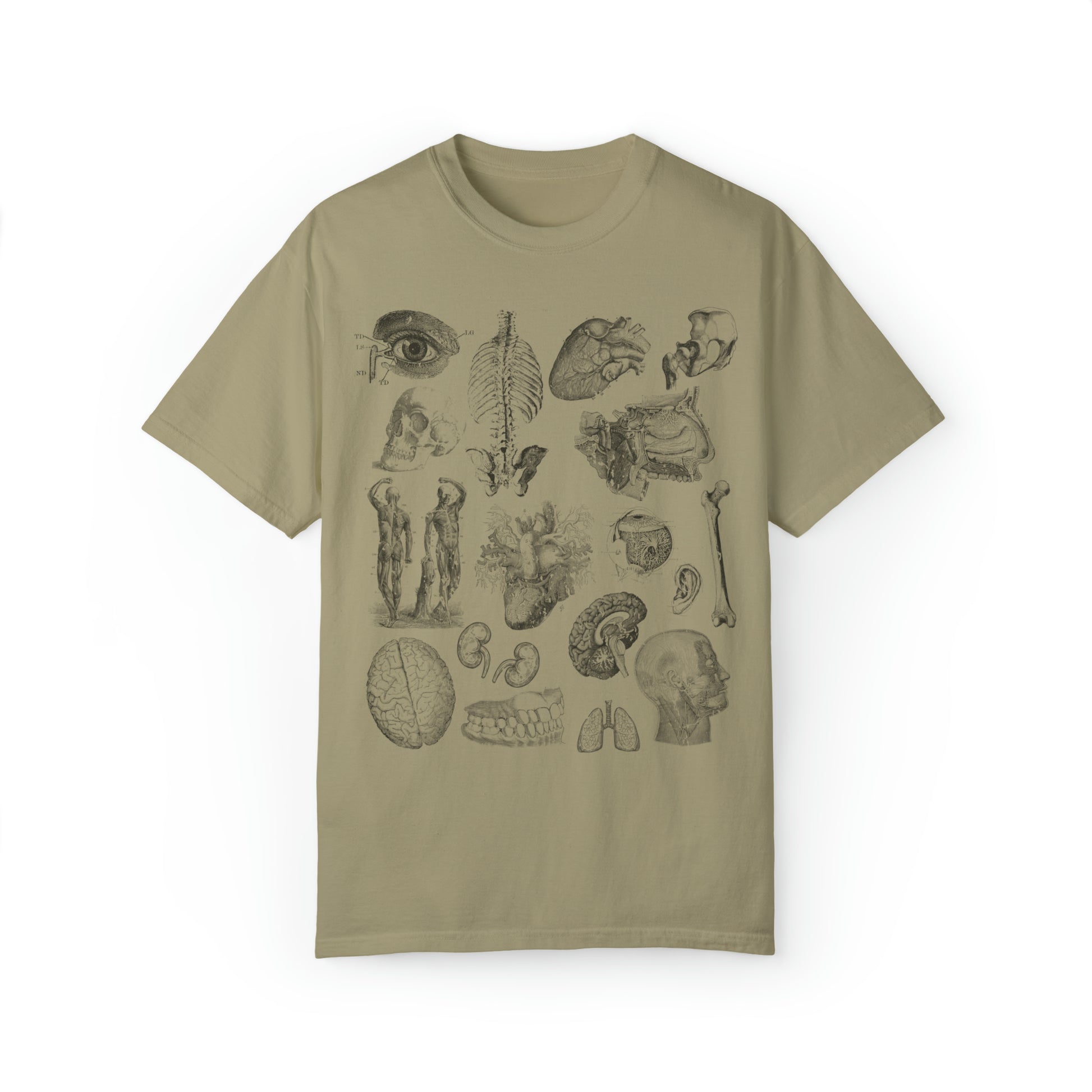 Anatomy Sketch Graphic T-shirt In Khaki