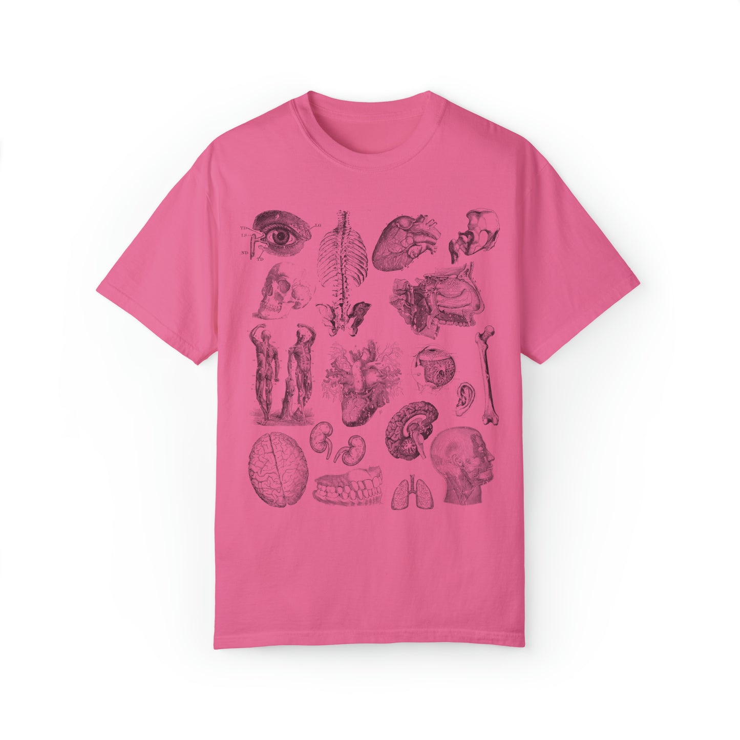 Anatomy Sketch Graphic T-shirt In Crunchberry Color