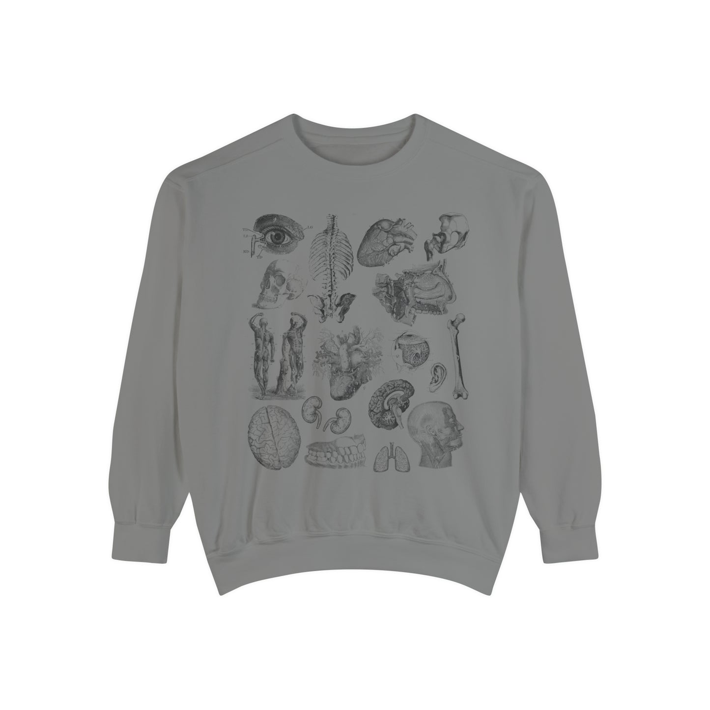 Vintage Anatomy Sketch Comfort Colors Premium Sweatshirt