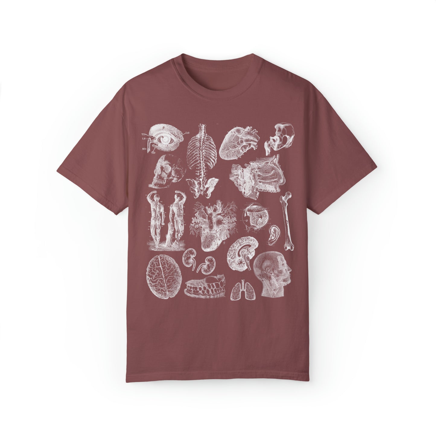 Anatomy Sketch Graphic T-shirt In Brick