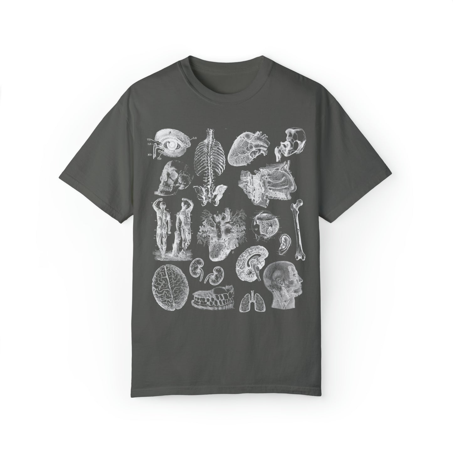 Anatomy Sketch Graphic T-shirt In Pepper