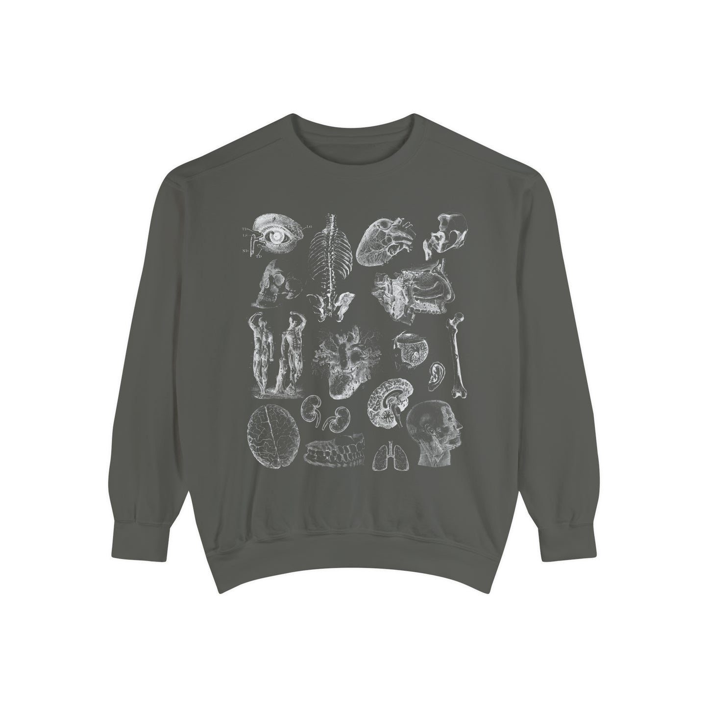 Vintage Anatomy Sketch Comfort Colors Premium Sweatshirt