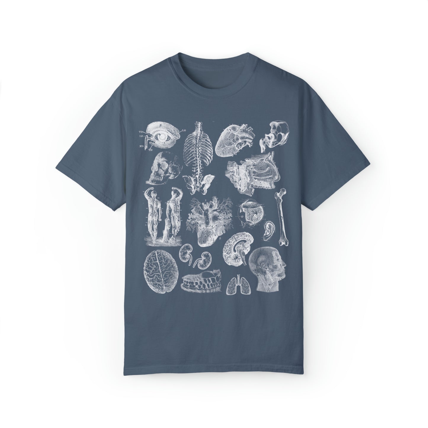 Anatomy Sketch Graphic T-shirt In Blue Jean