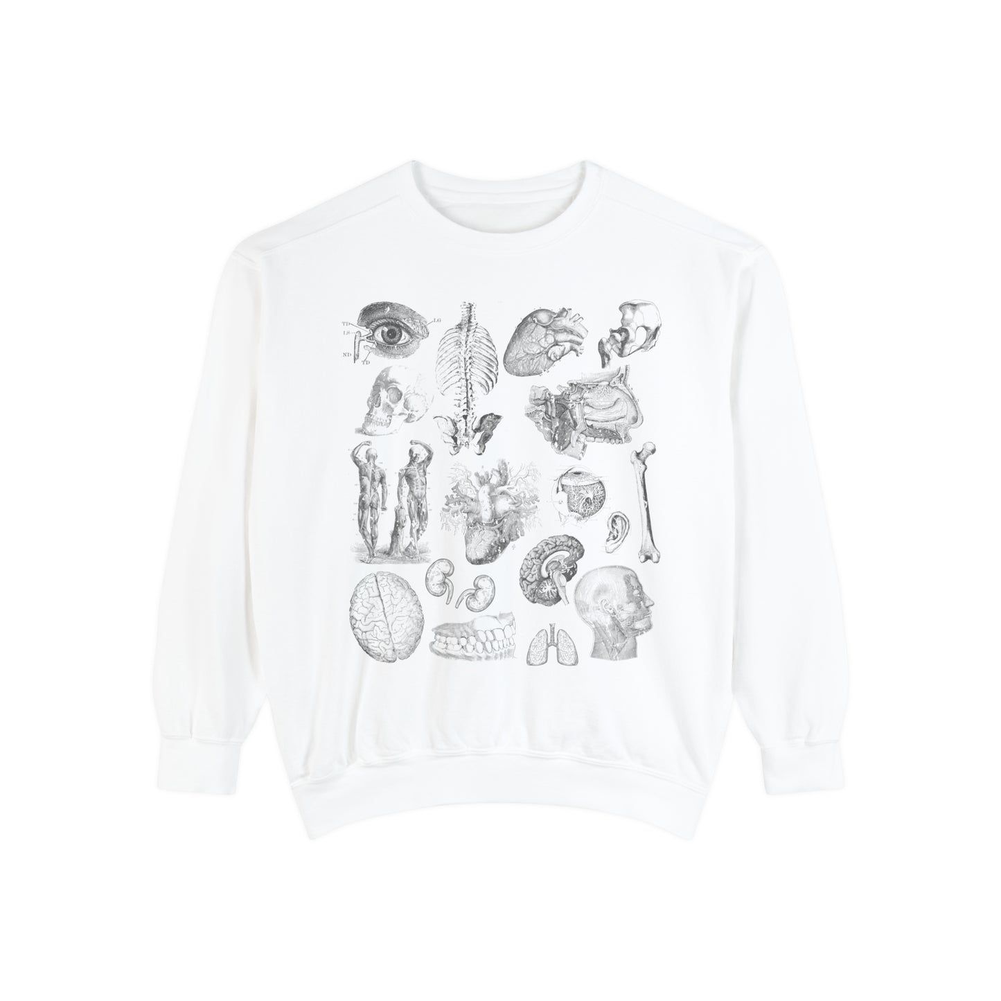 Vintage Anatomy Sketch Comfort Colors Premium Sweatshirt