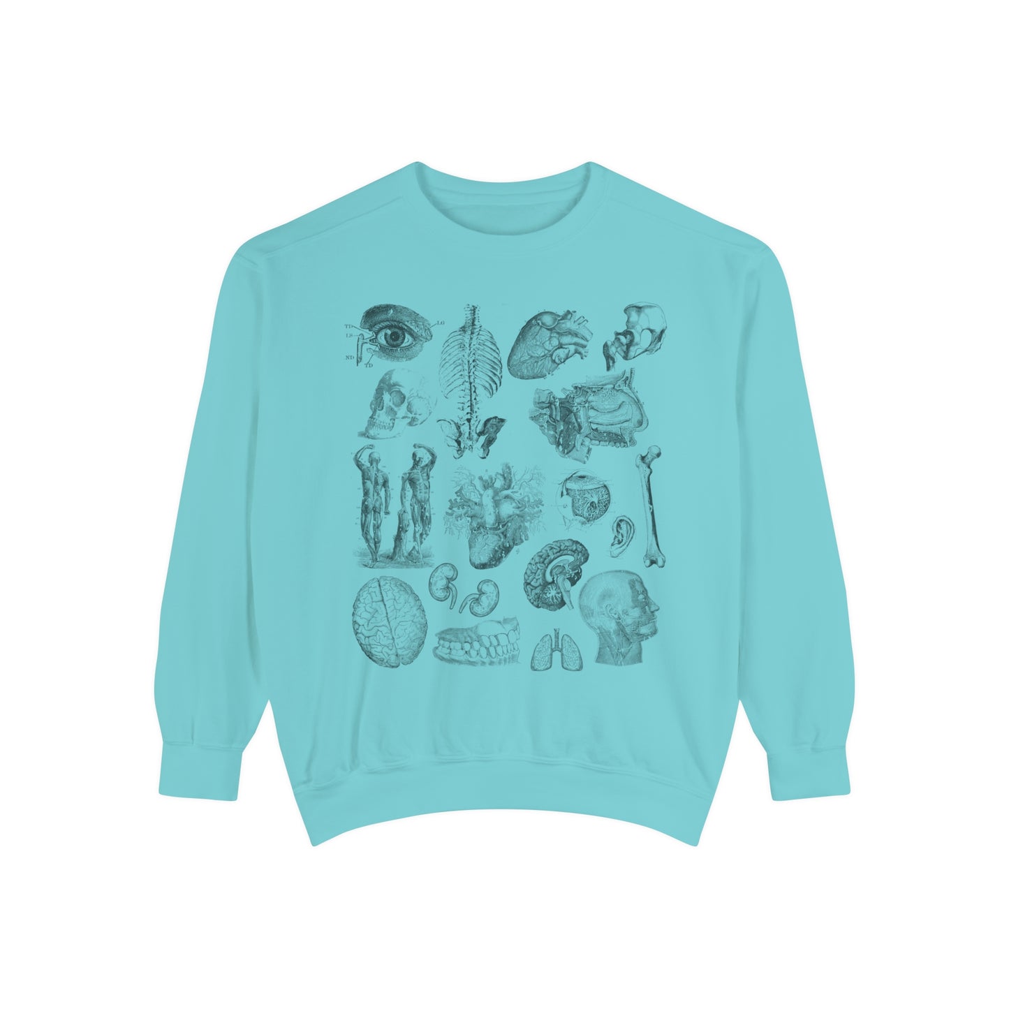 Vintage Anatomy Sketch Comfort Colors Premium Sweatshirt
