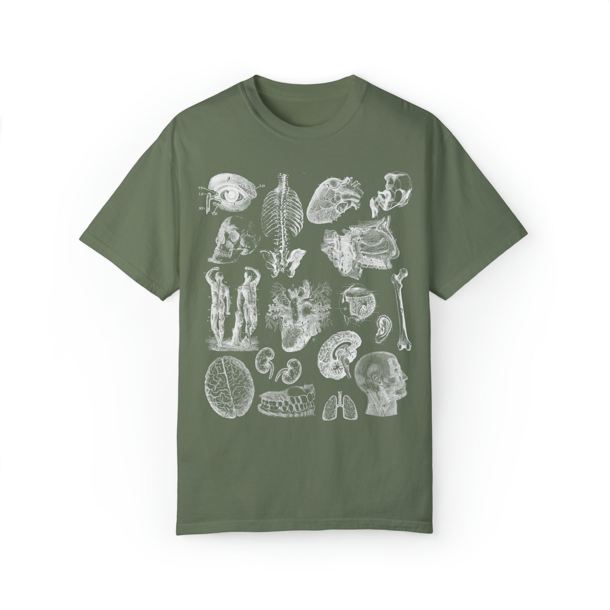 Anatomy Sketch Graphic T-shirt In Moss