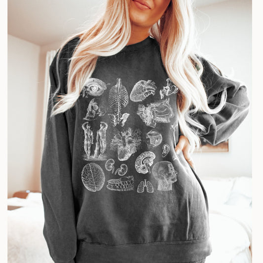 Vintage Anatomy Sketch Comfort Colors Premium Sweatshirt